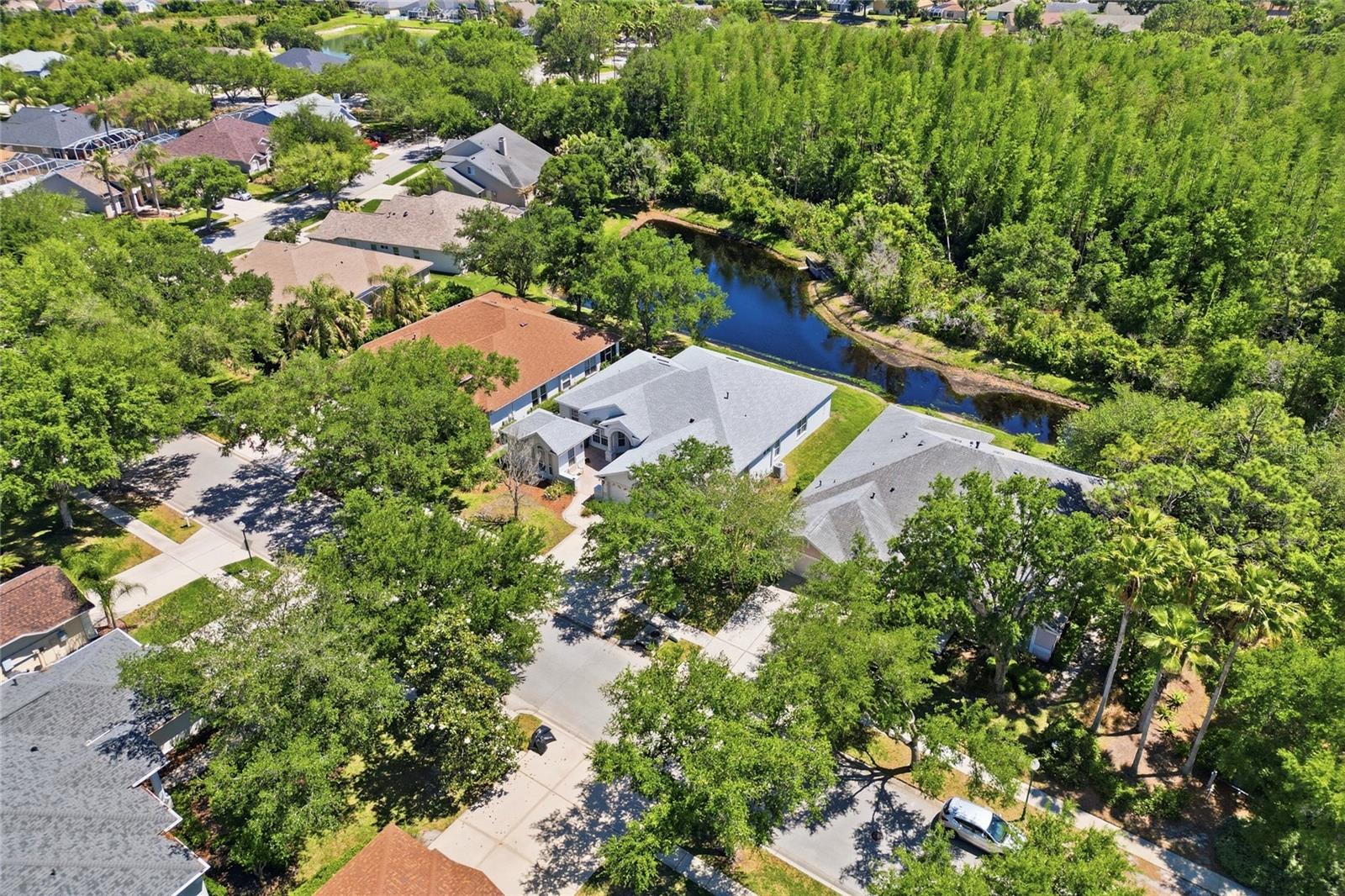 10206 SHADOW BRANCH DR, TAMPA, FL, 33647