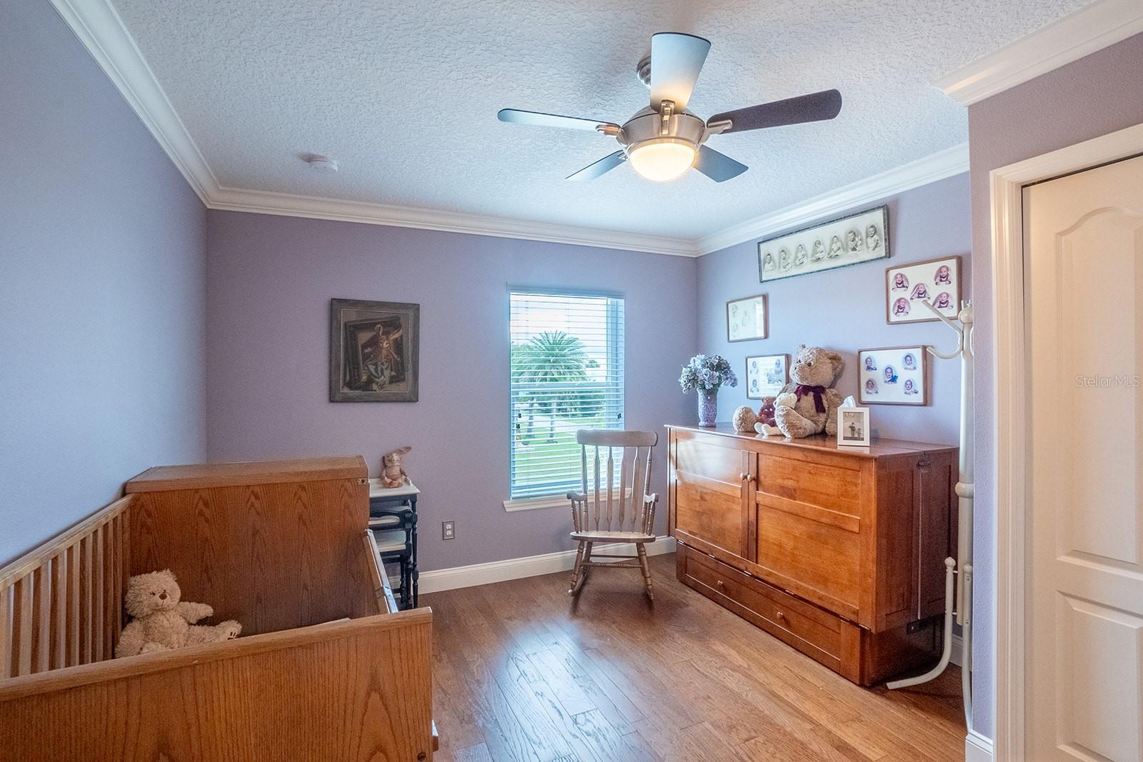 590 SHEARWOOD DR, FLAGLER BEACH, FL, 32136