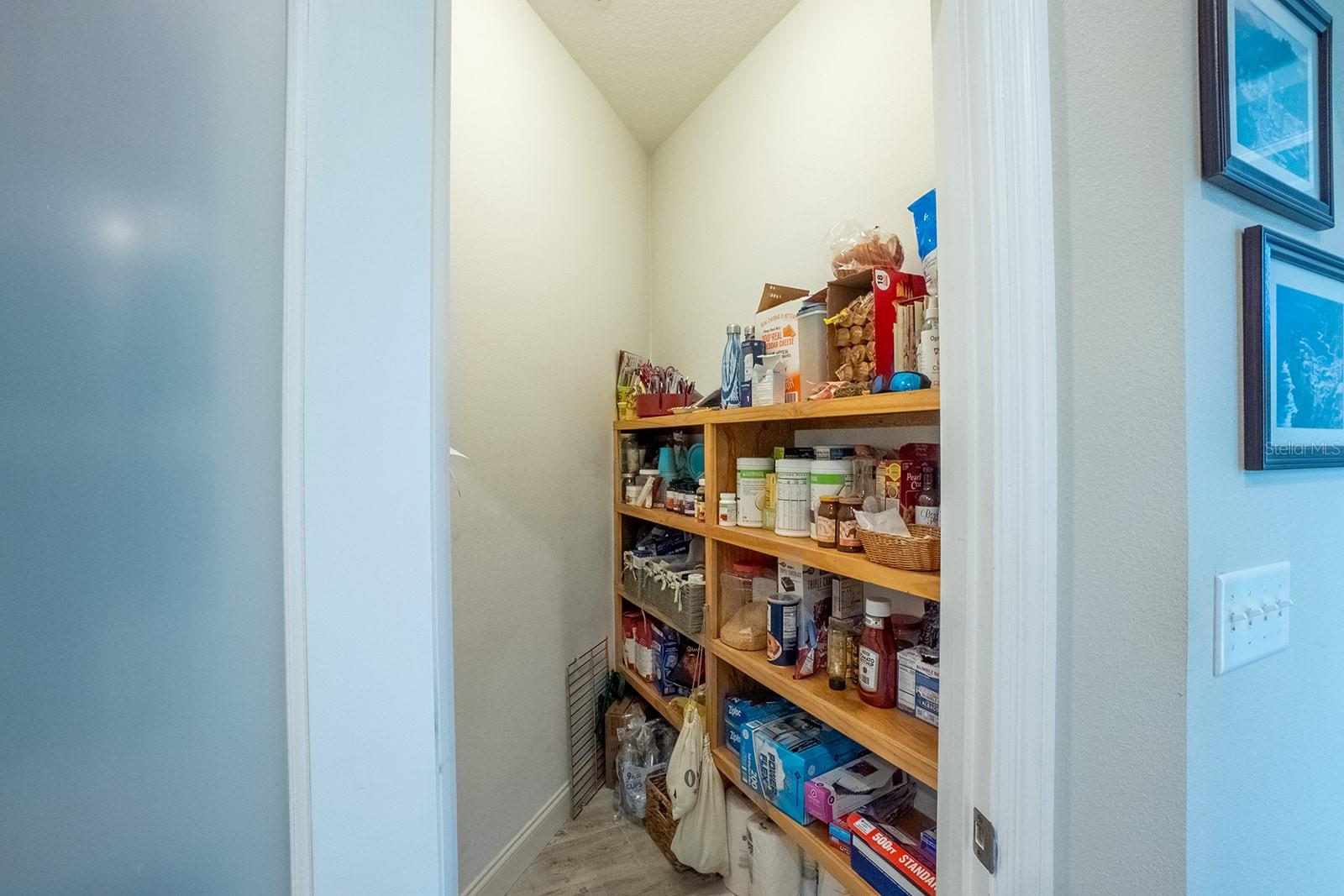 590 SHEARWOOD DR, FLAGLER BEACH, FL, 32136