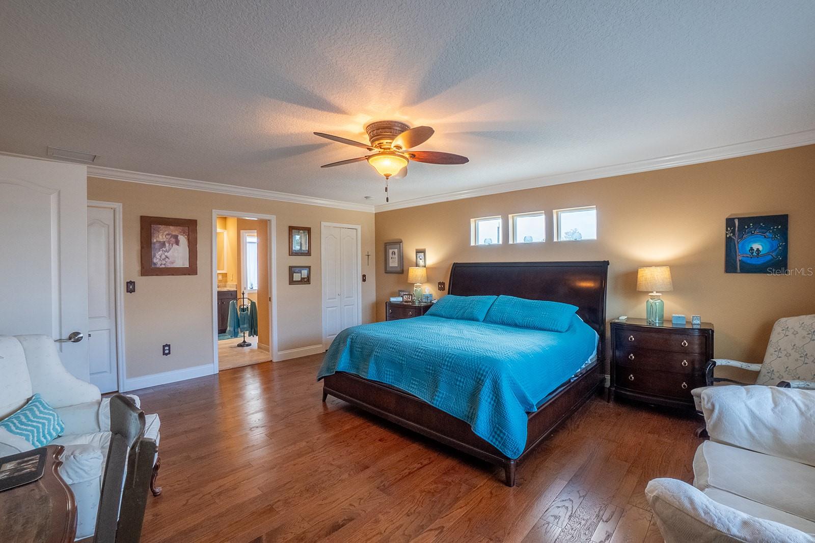 590 SHEARWOOD DR, FLAGLER BEACH, FL, 32136