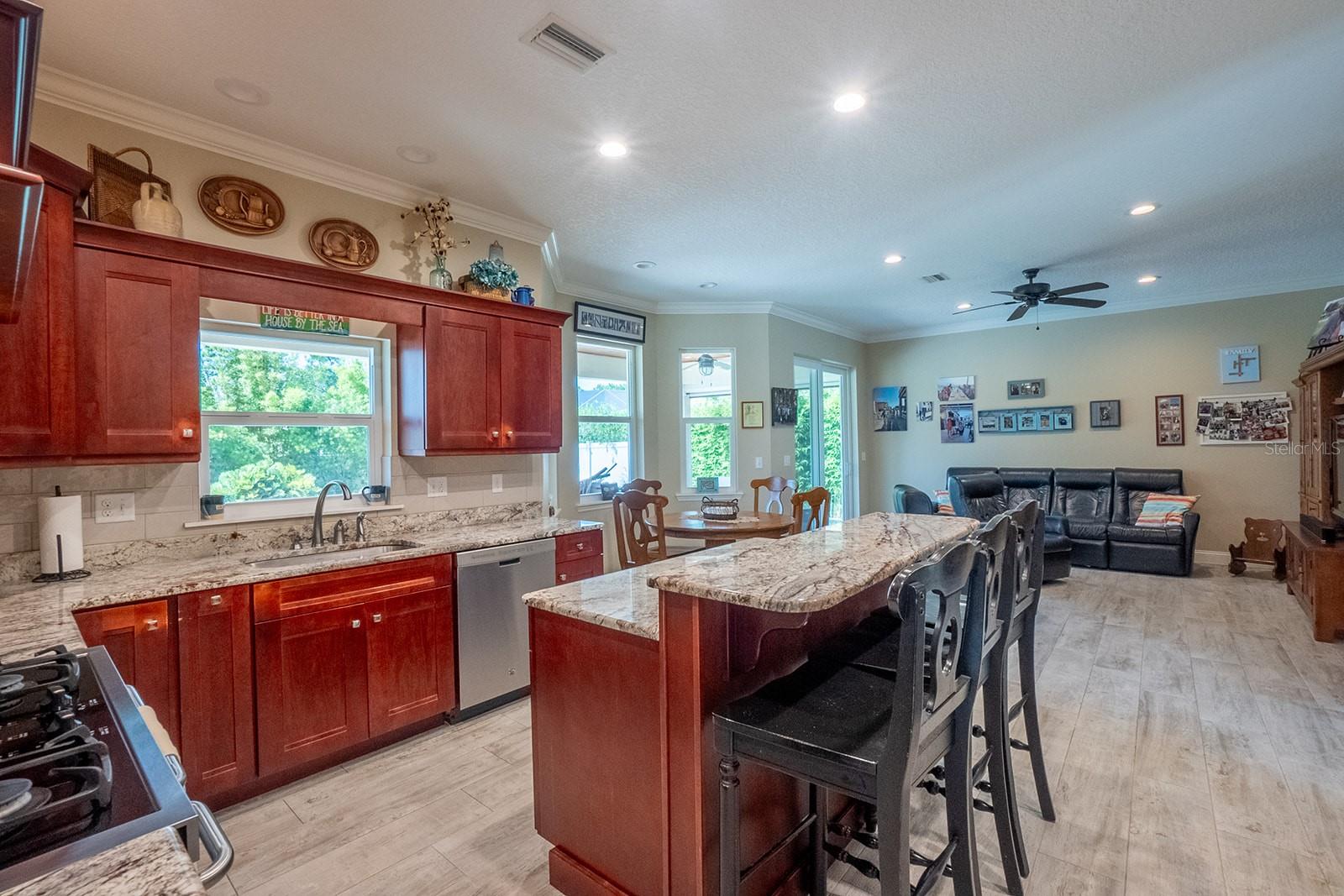 590 SHEARWOOD DR, FLAGLER BEACH, FL, 32136