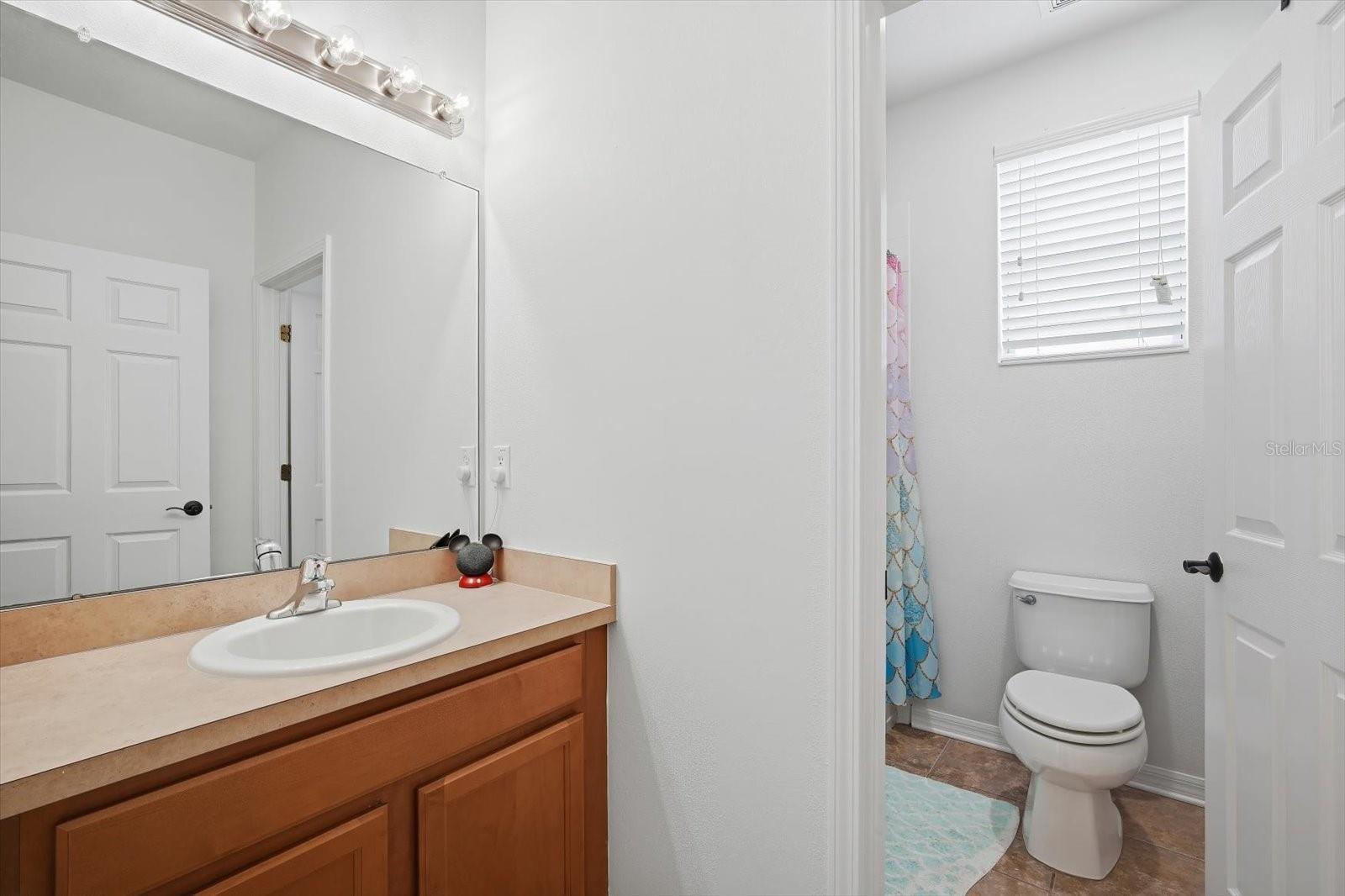 11310 WINTHROP LAKE DR, RIVERVIEW, FL, 33578