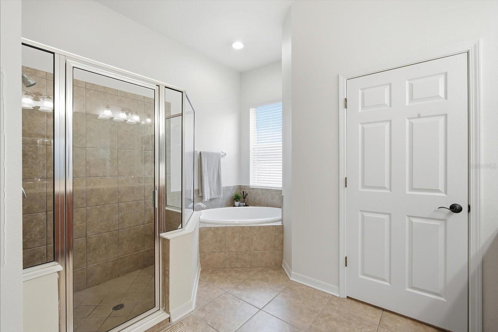 11310 WINTHROP LAKE DR, RIVERVIEW, FL, 33578
