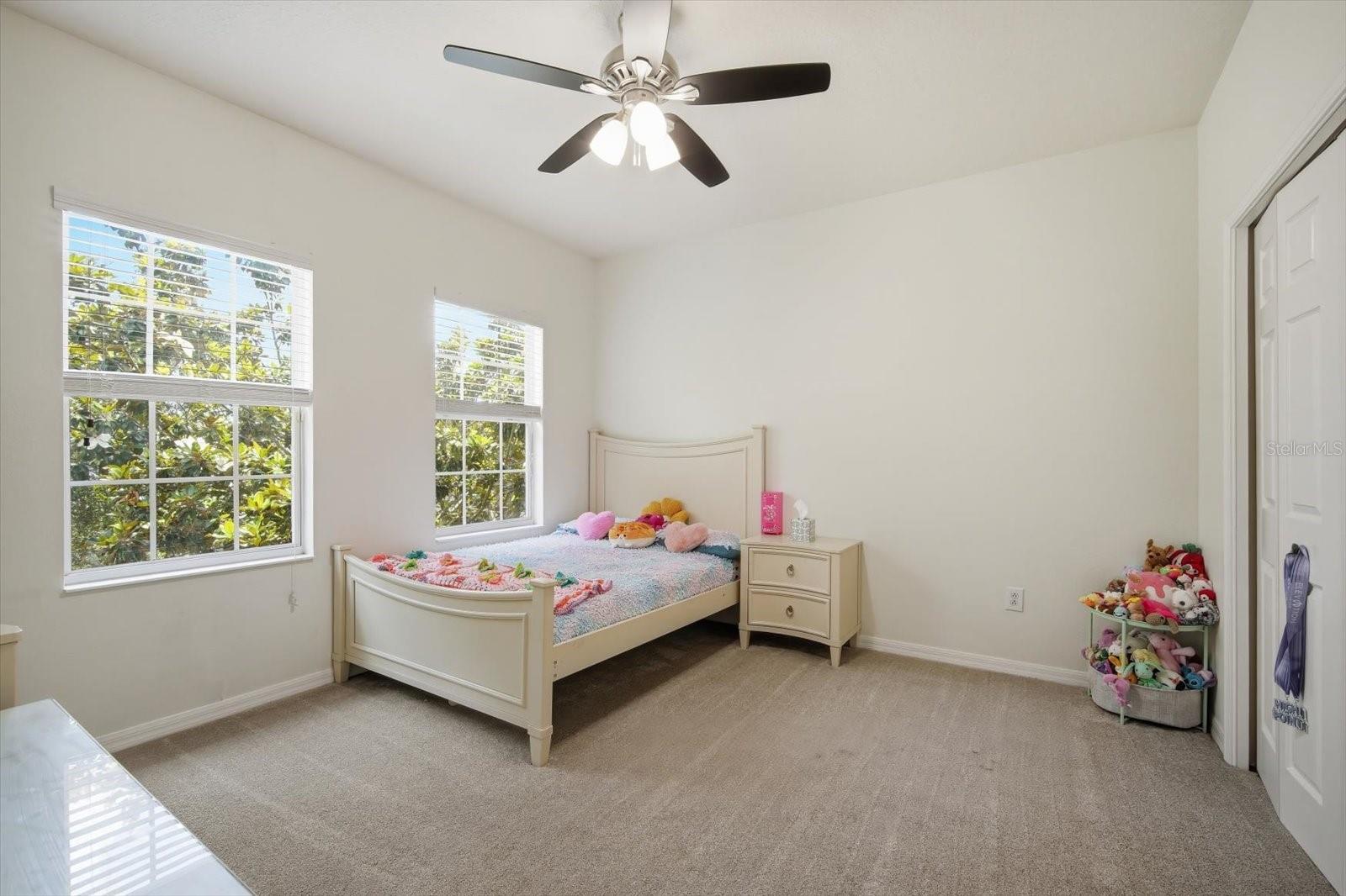 11310 WINTHROP LAKE DR, RIVERVIEW, FL, 33578