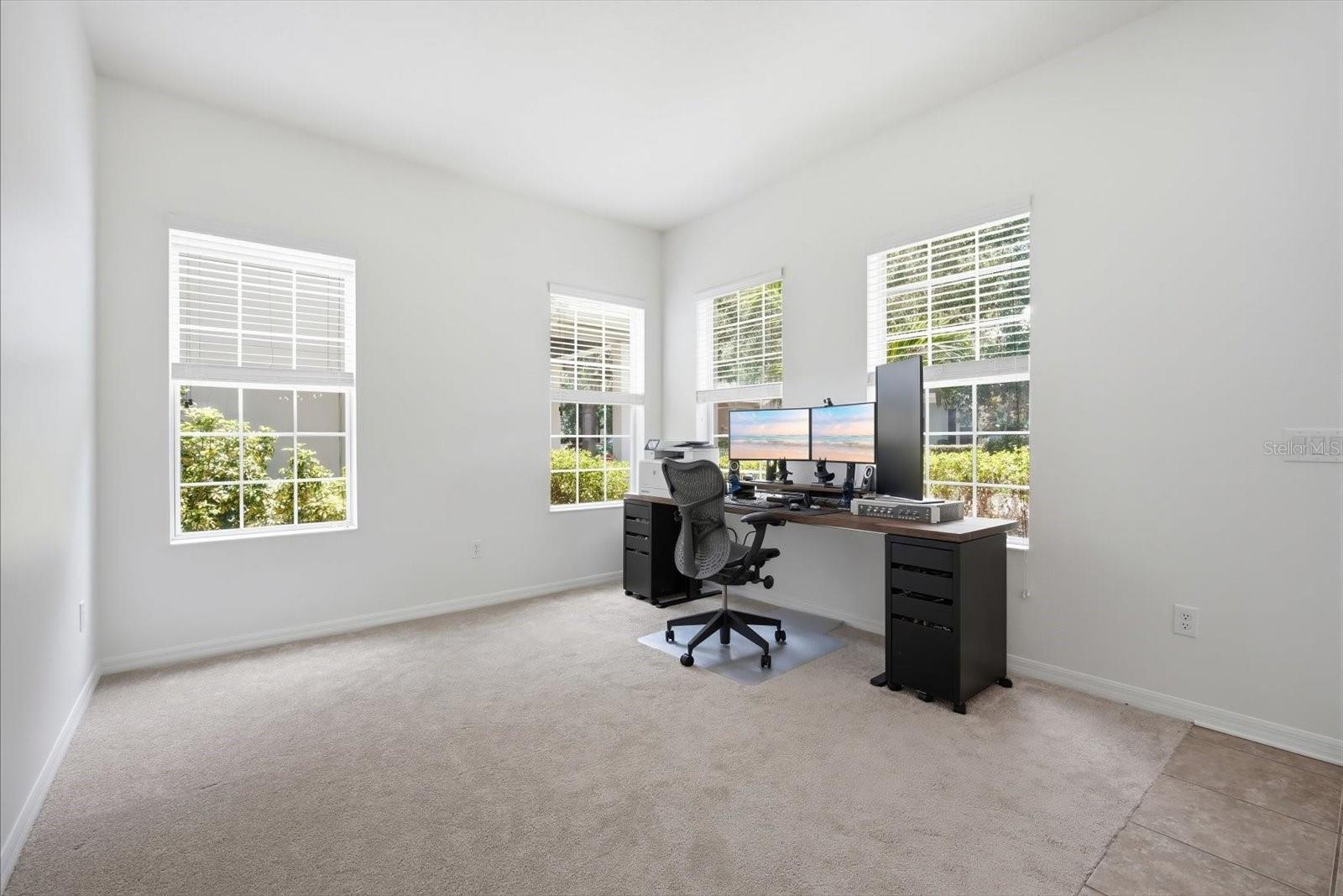 11310 WINTHROP LAKE DR, RIVERVIEW, FL, 33578