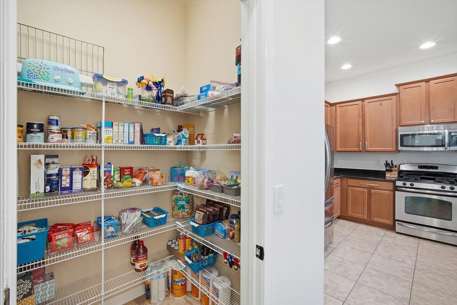 11310 WINTHROP LAKE DR, RIVERVIEW, FL, 33578