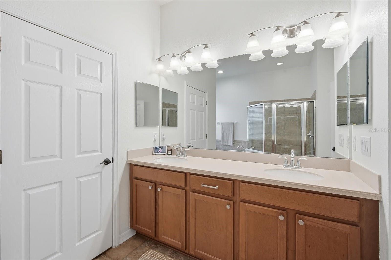 11310 WINTHROP LAKE DR, RIVERVIEW, FL, 33578