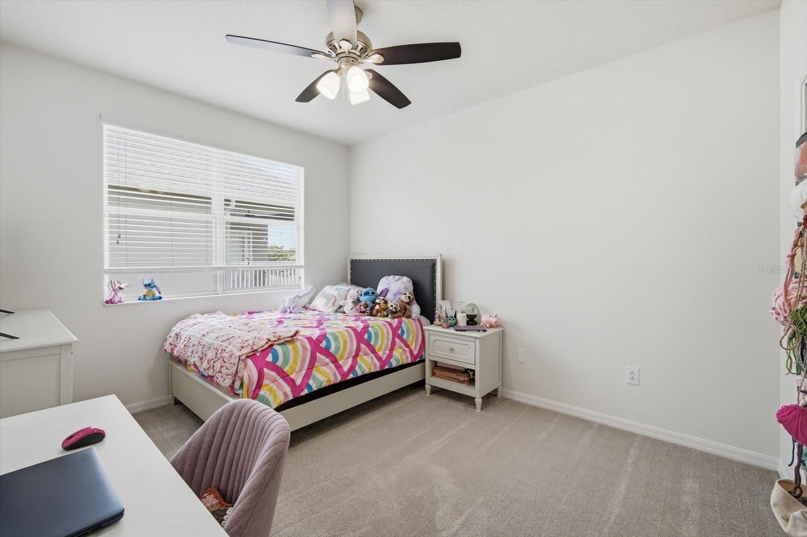 11310 WINTHROP LAKE DR, RIVERVIEW, FL, 33578