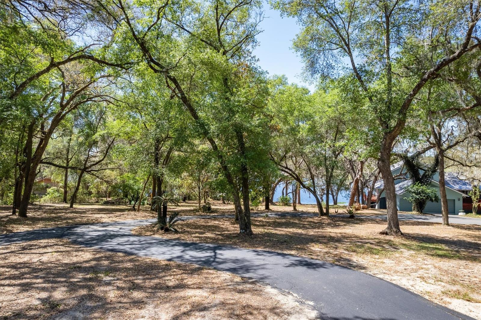 111 KIRBY TRL, MELROSE, FL, 32666