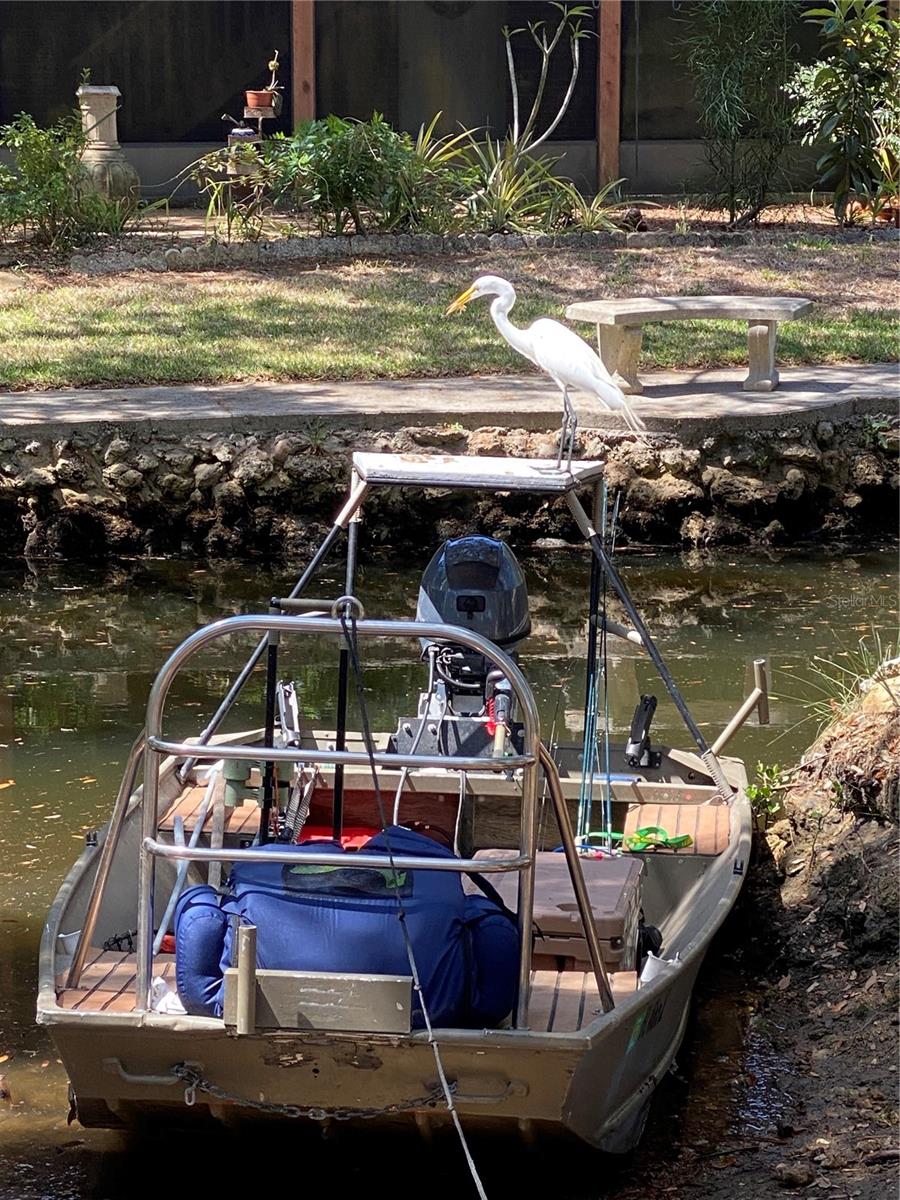 14272 W SUTTON CT, CRYSTAL RIVER, FL, 34429