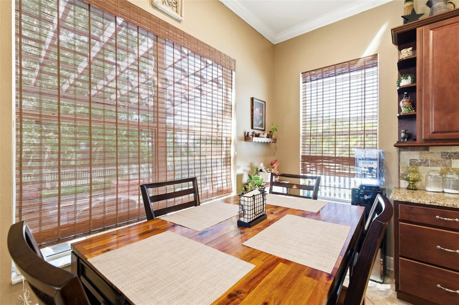 8743 NEW ALEXANDRIA LOOP, NEW PORT RICHEY, FL, 34654