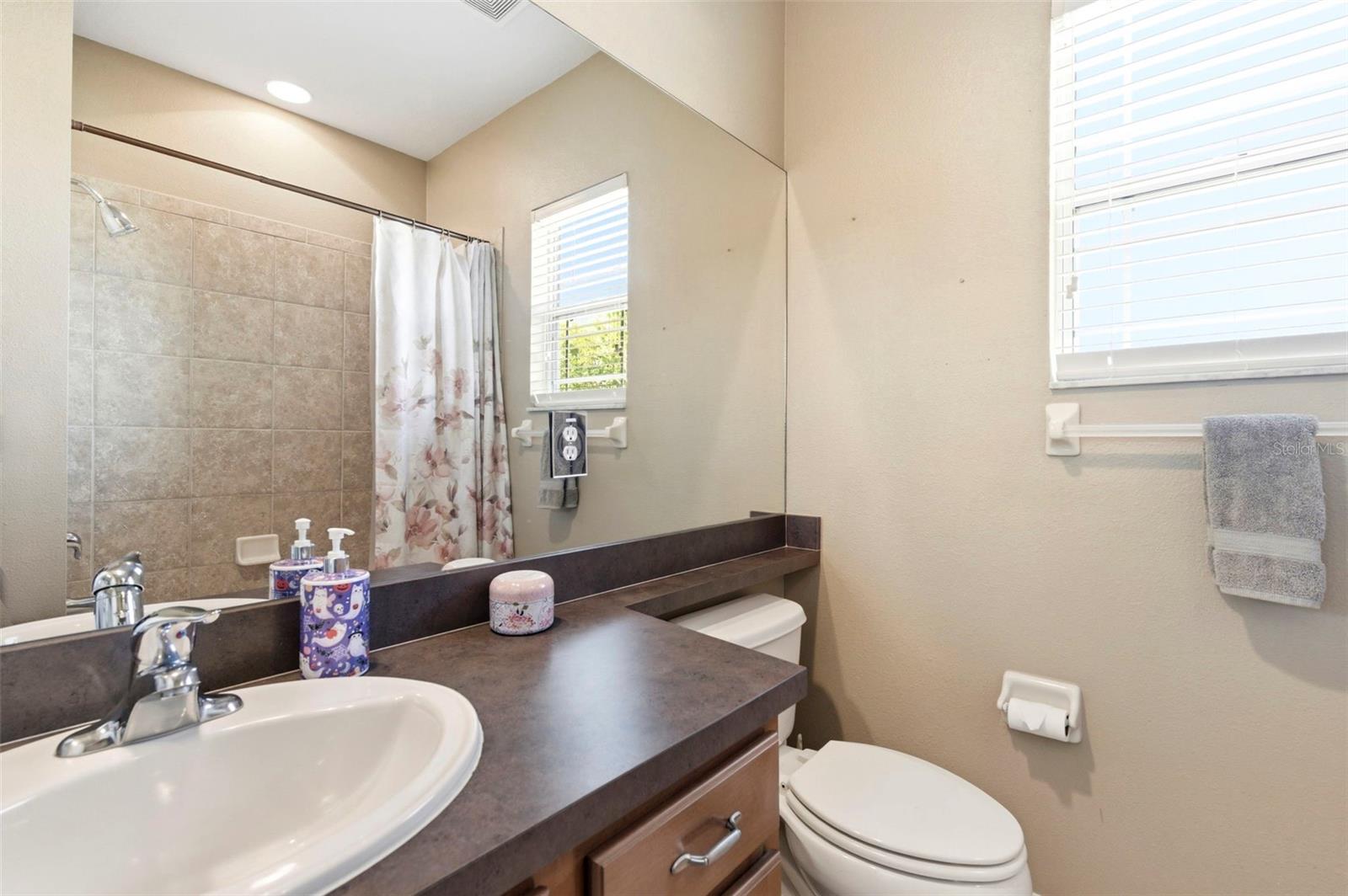 8743 NEW ALEXANDRIA LOOP, NEW PORT RICHEY, FL, 34654