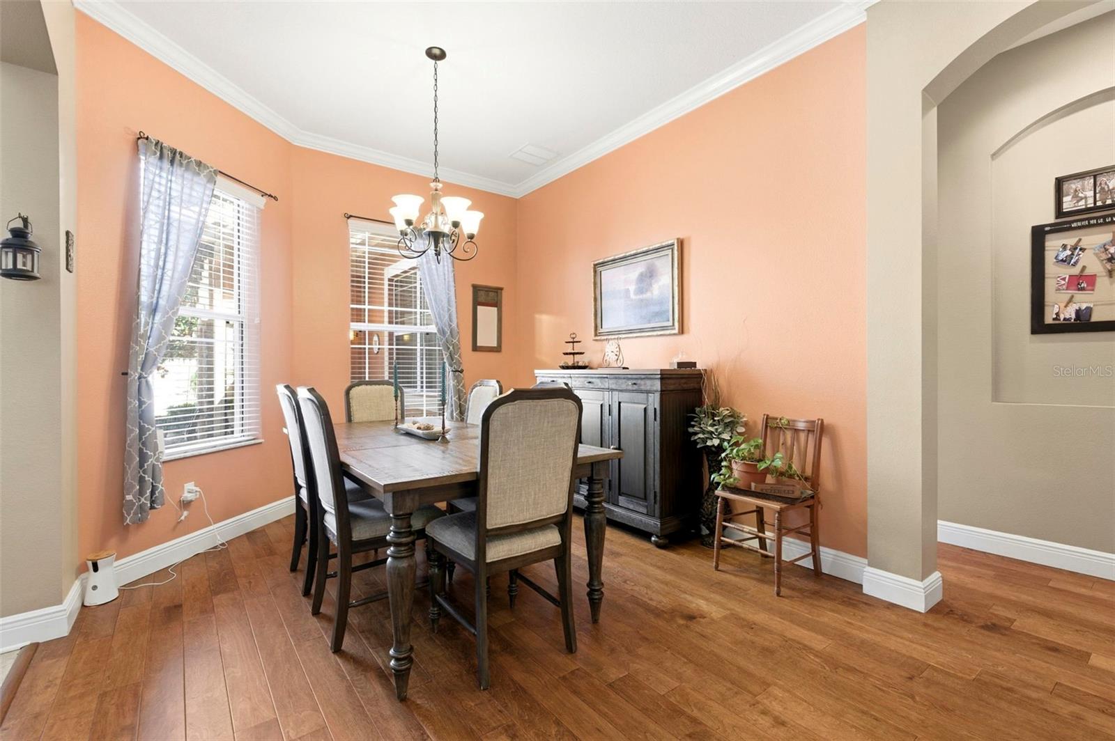 8743 NEW ALEXANDRIA LOOP, NEW PORT RICHEY, FL, 34654