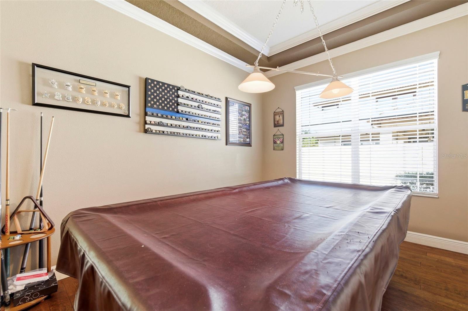 8743 NEW ALEXANDRIA LOOP, NEW PORT RICHEY, FL, 34654