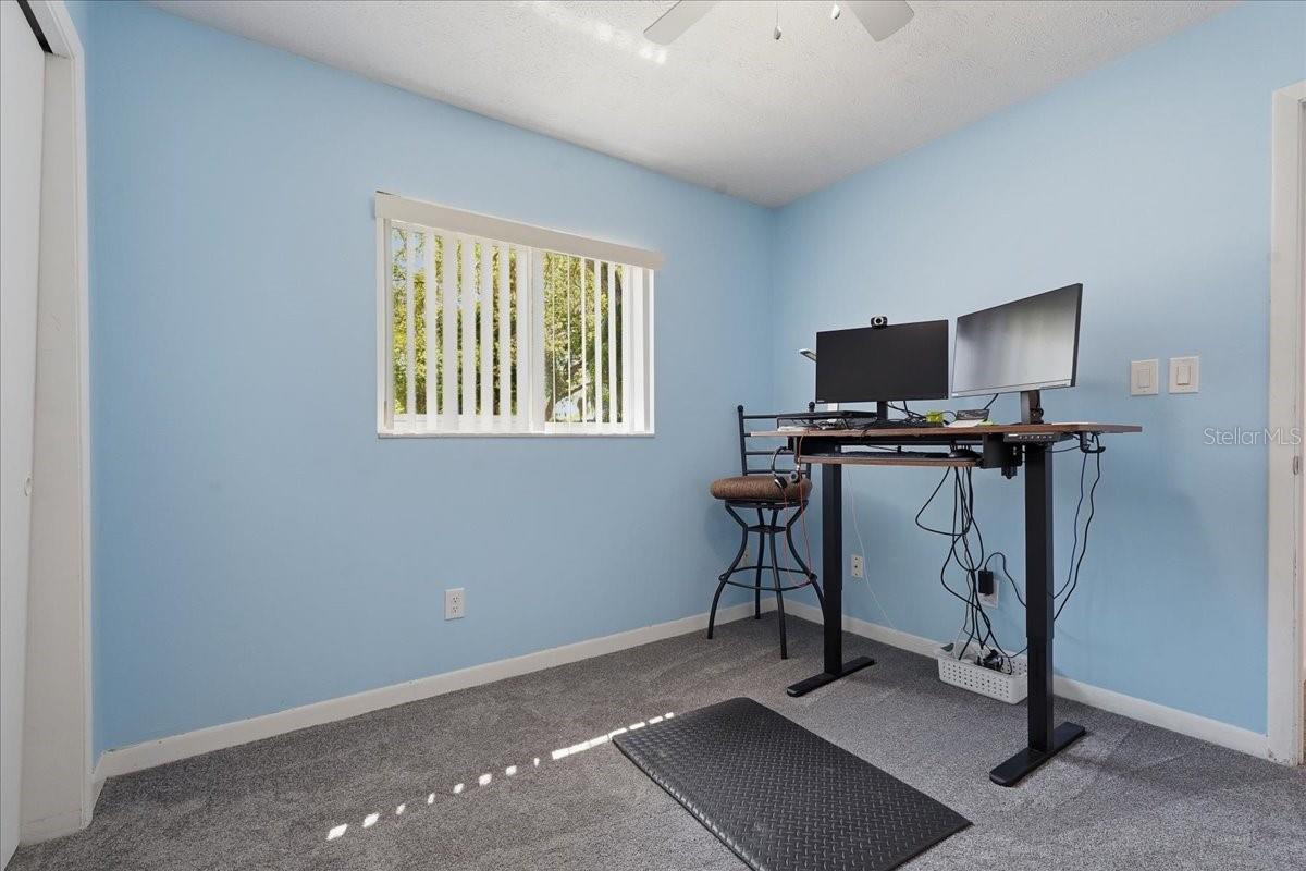 3809 PARKSIDE DR, VALRICO, FL, 33594