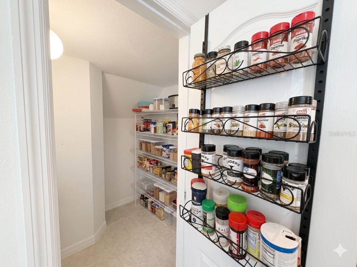 9120 MOONLIT MEADOWS LOOP, RIVERVIEW, FL, 33578