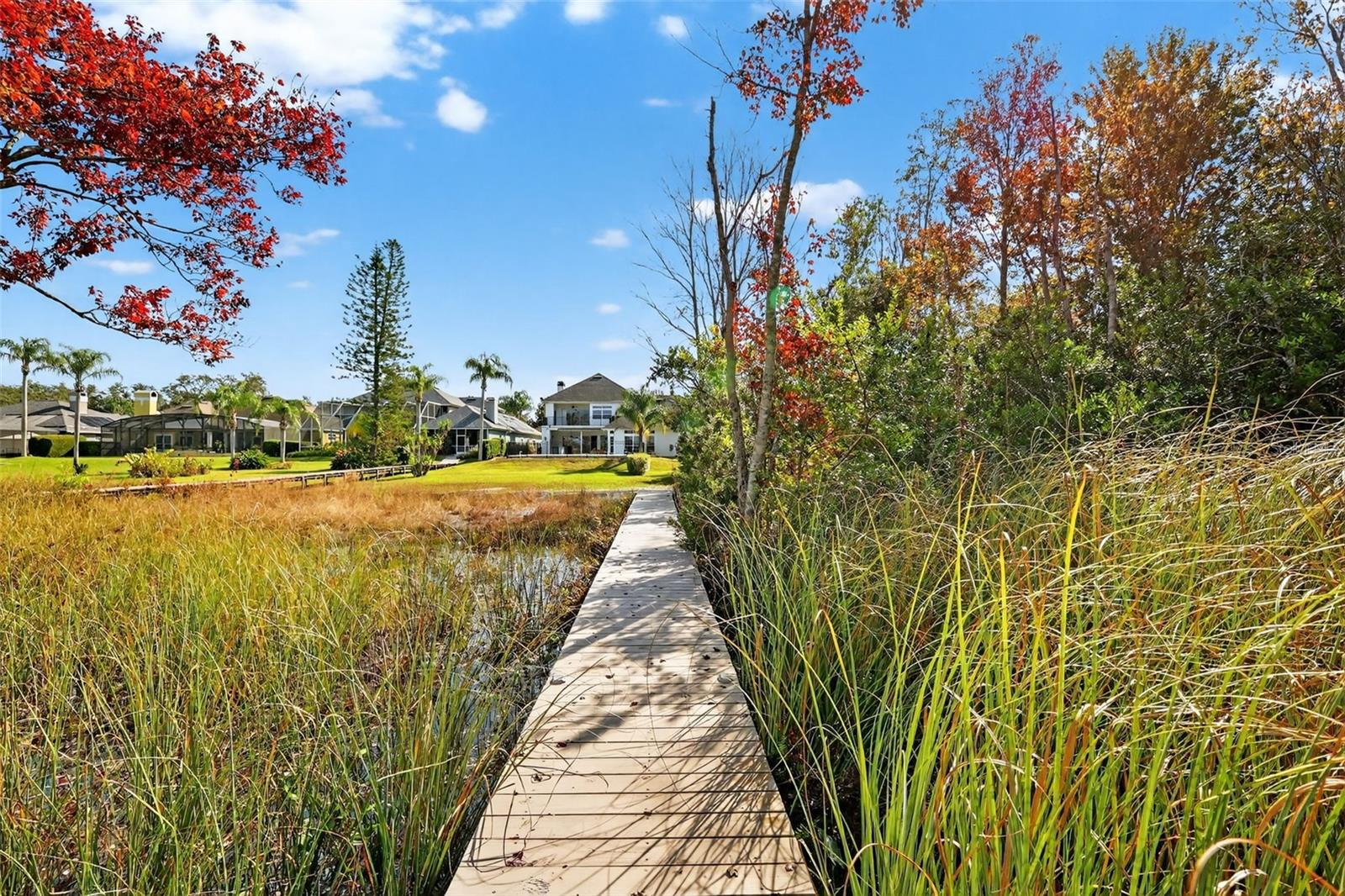 1741 EDGEWATER DR, MOUNT DORA, FL, 32757