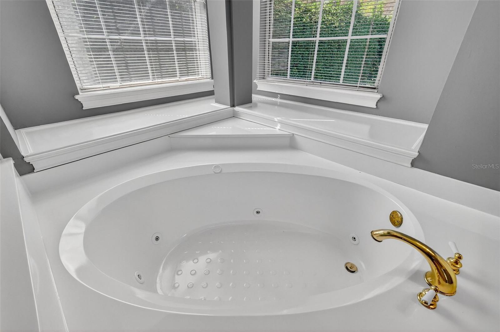 1741 EDGEWATER DR, MOUNT DORA, FL, 32757