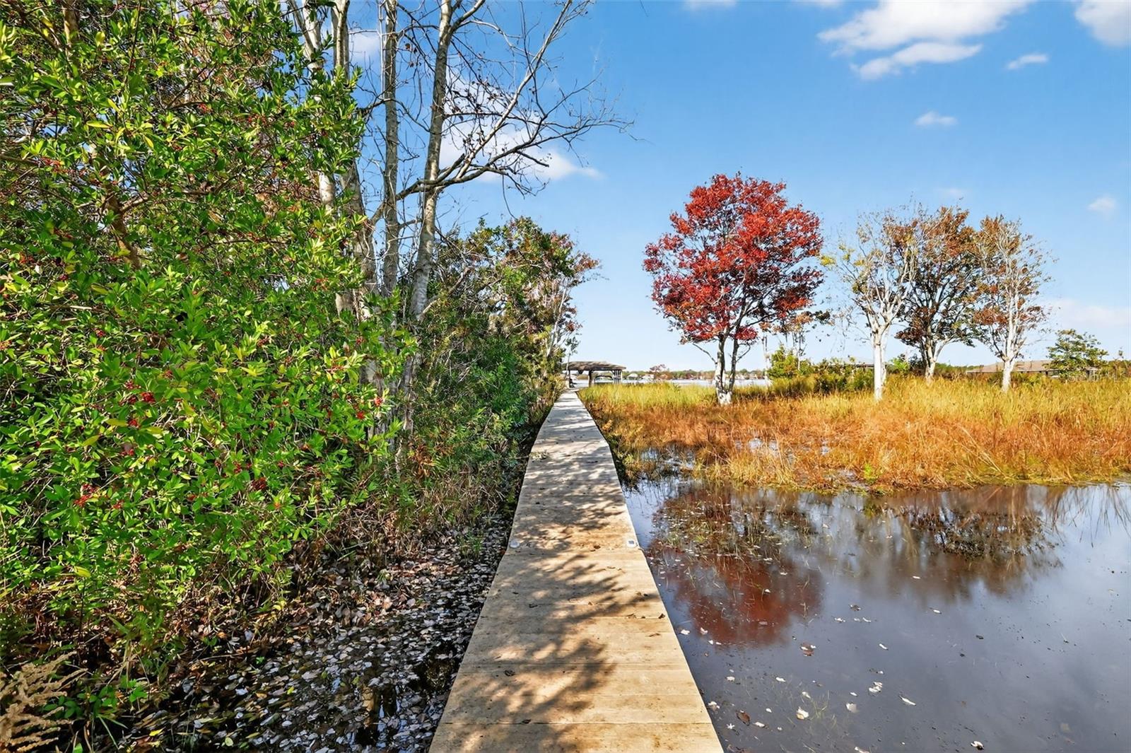 1741 EDGEWATER DR, MOUNT DORA, FL, 32757