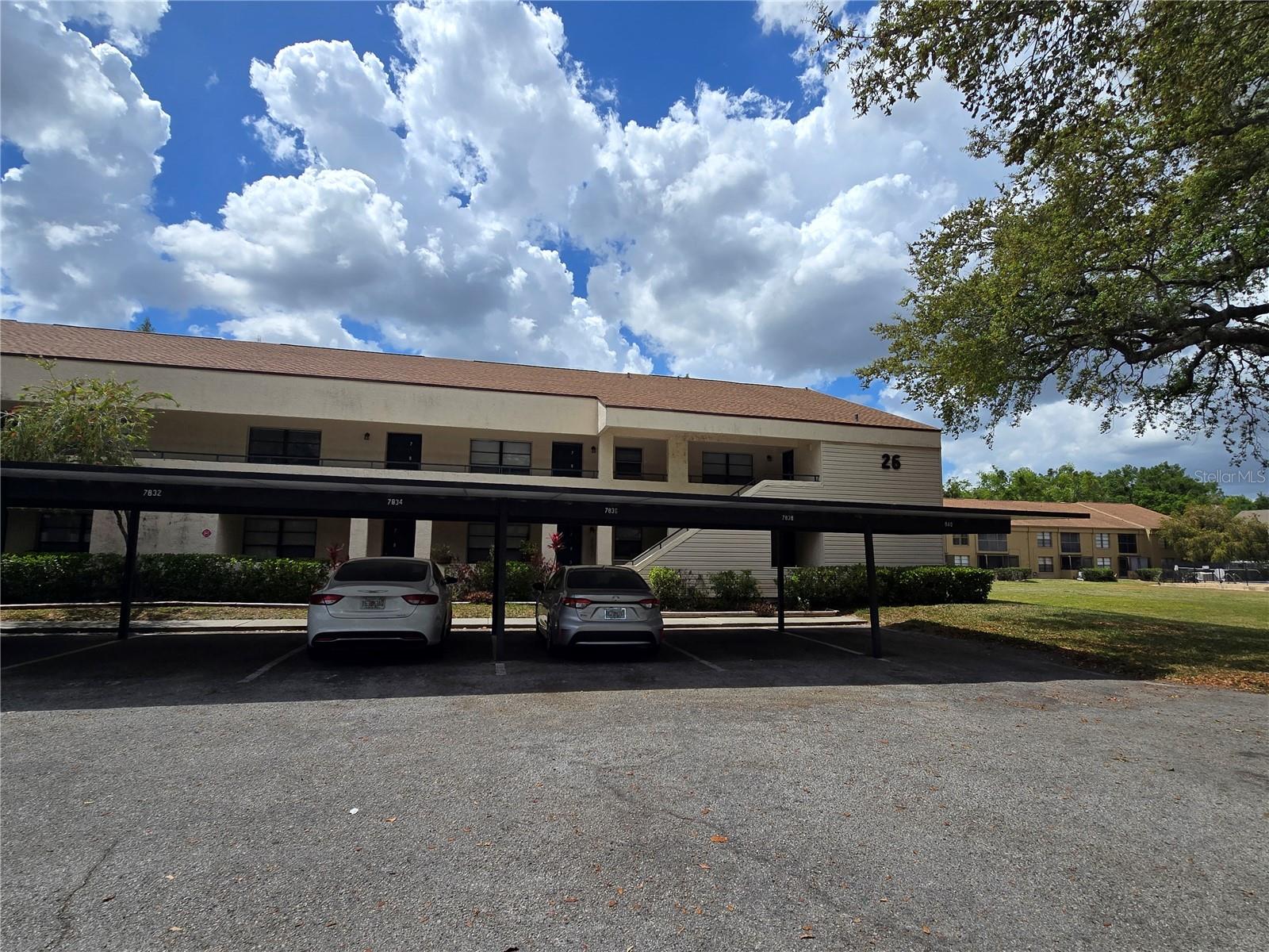 7838 NIAGARA AVE #305, TAMPA, FL, 33617