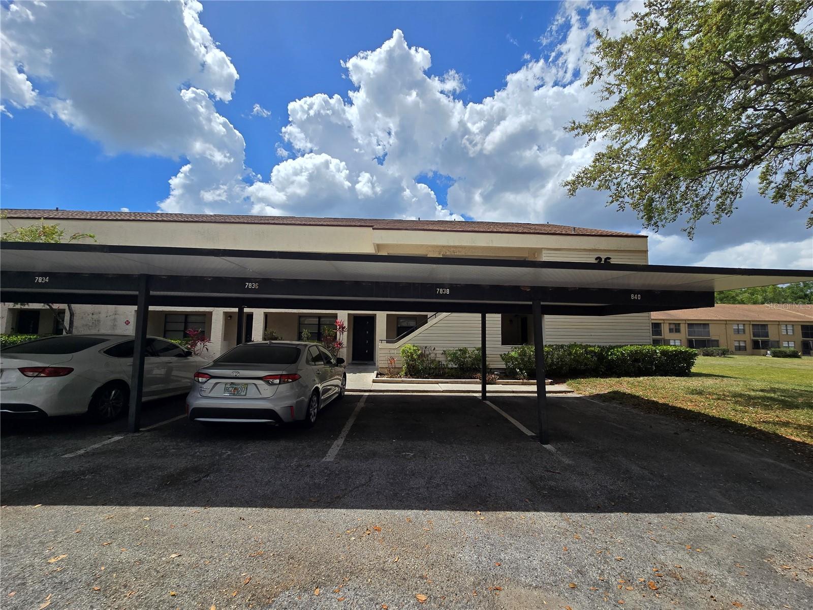 7838 NIAGARA AVE #305, TAMPA, FL, 33617