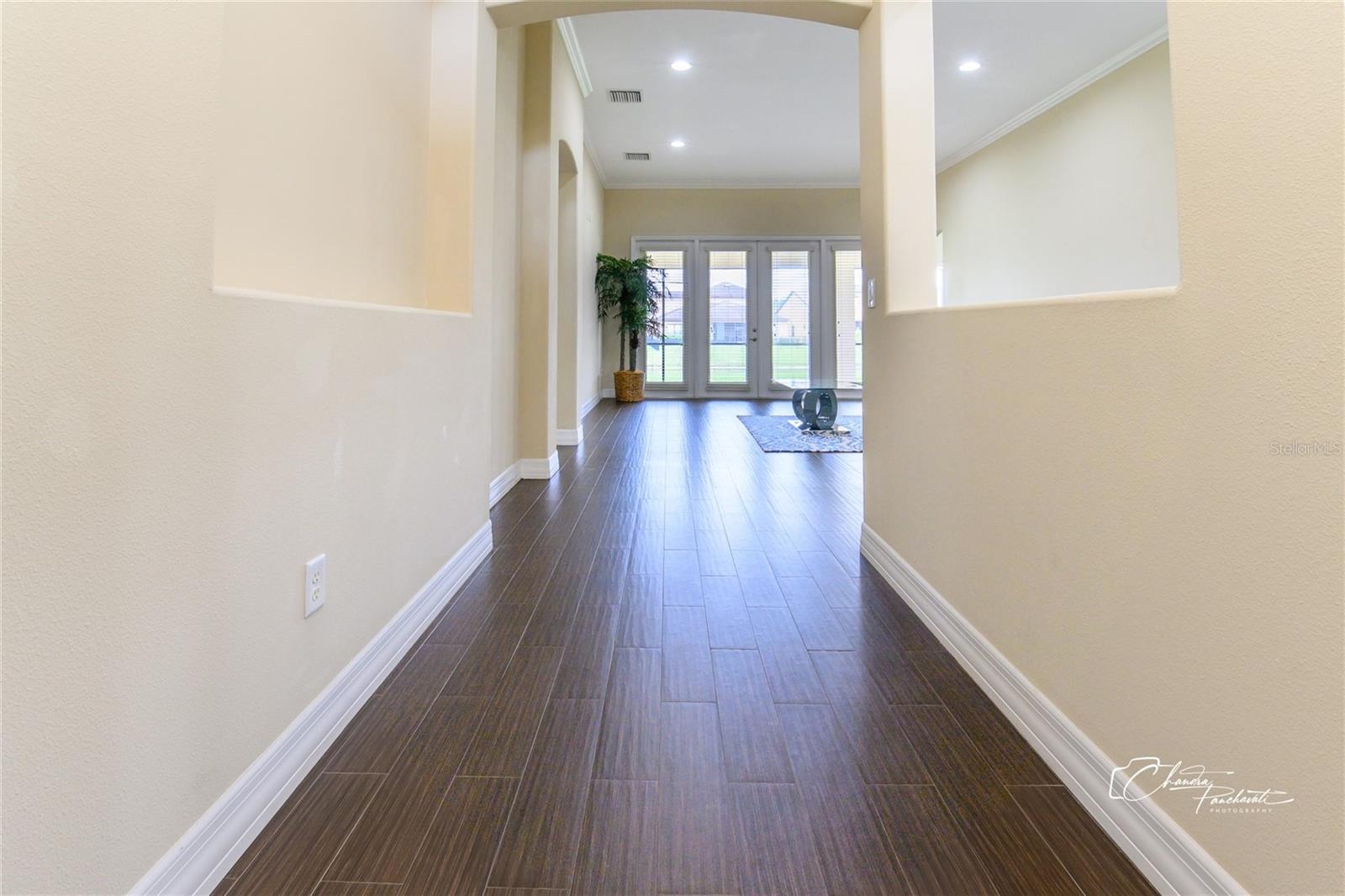 19305 YELLOW CLOVER DR, TAMPA, FL, 33647