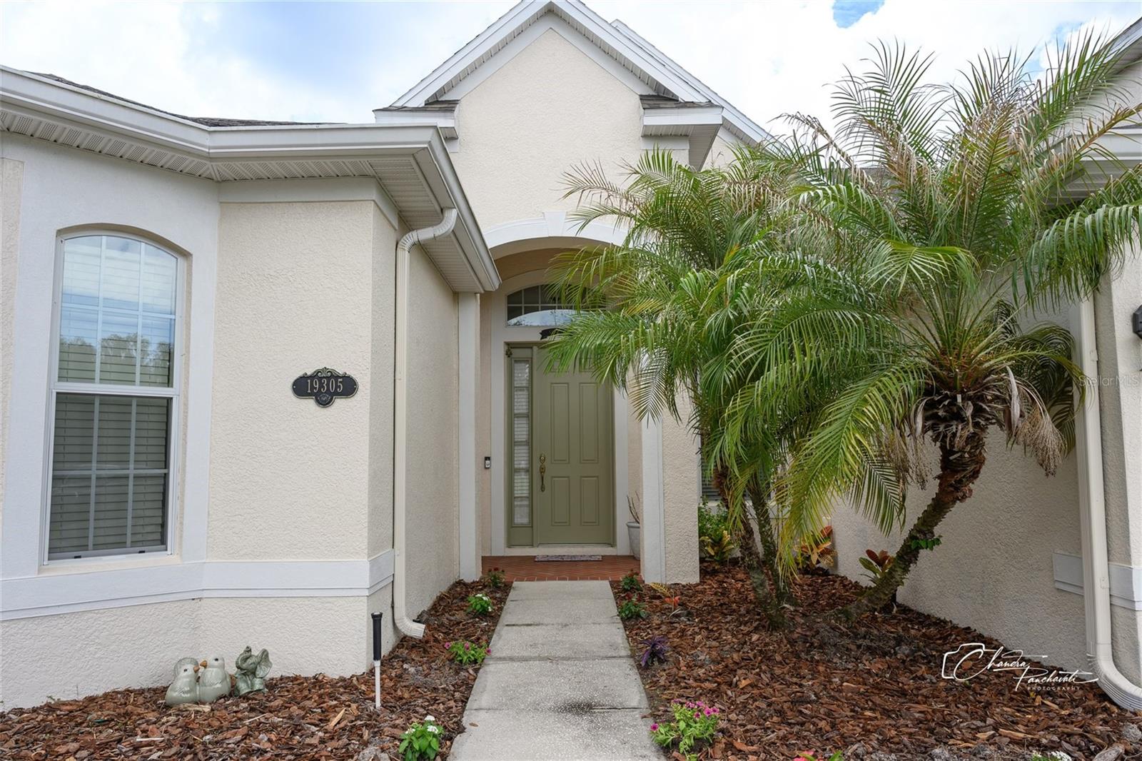 19305 YELLOW CLOVER DR, TAMPA, FL, 33647