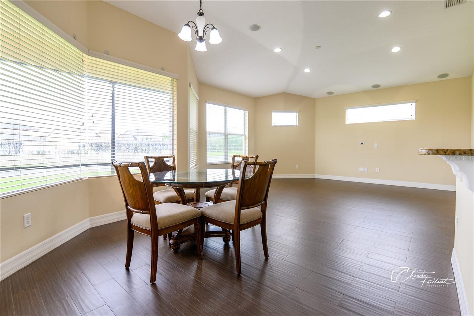 19305 YELLOW CLOVER DR, TAMPA, FL, 33647