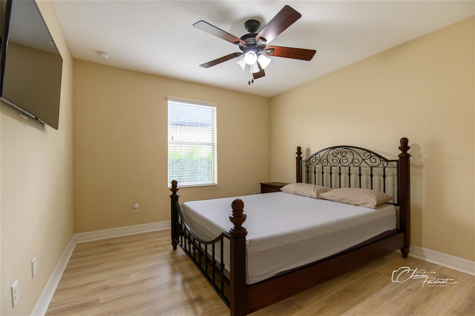 19305 YELLOW CLOVER DR, TAMPA, FL, 33647