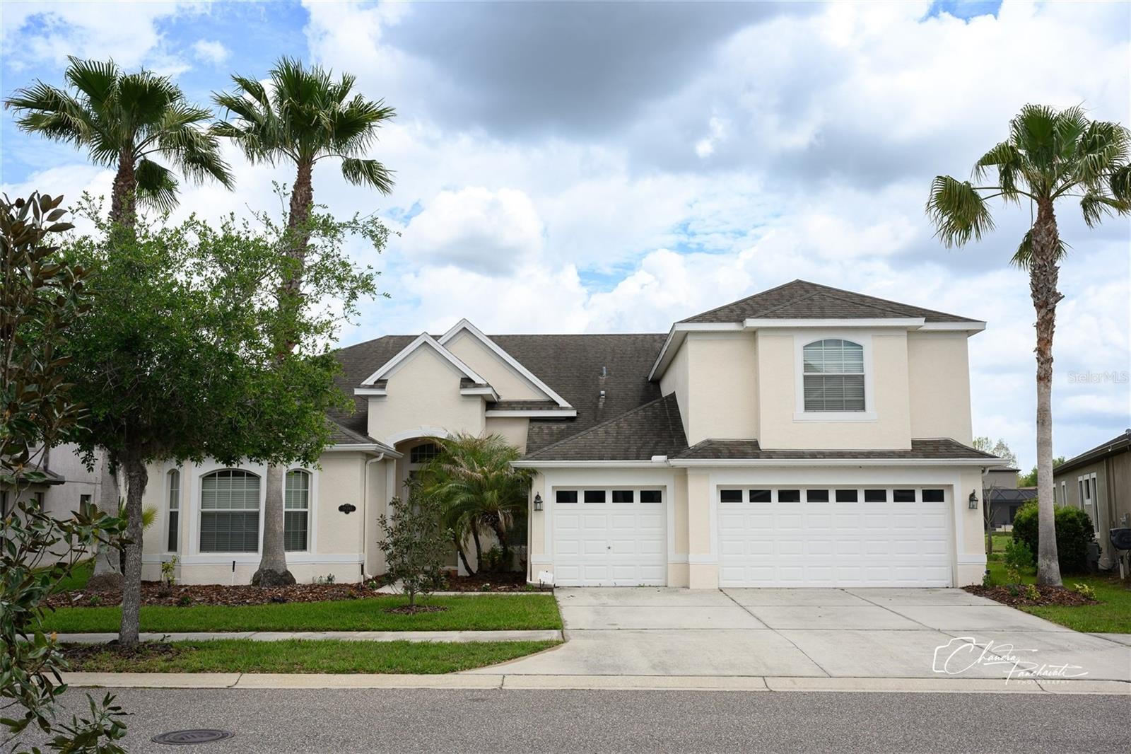 19305 YELLOW CLOVER DR, TAMPA, FL, 33647