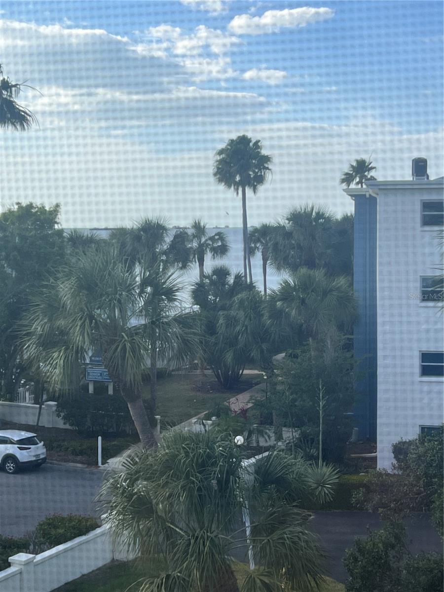 2651 MICHAEL PL #307, DUNEDIN, FL, 34698