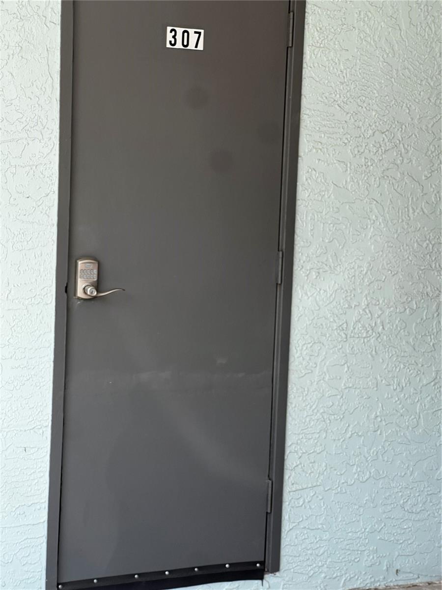 2651 MICHAEL PL #307, DUNEDIN, FL, 34698