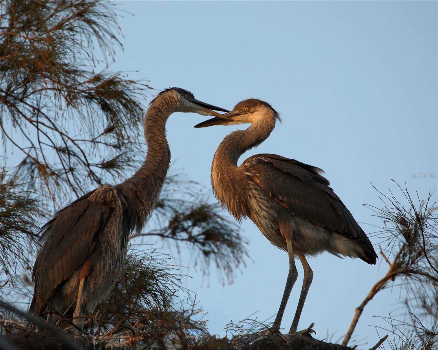 4857 INDEPENDENCE DR, BRADENTON, FL, 34210