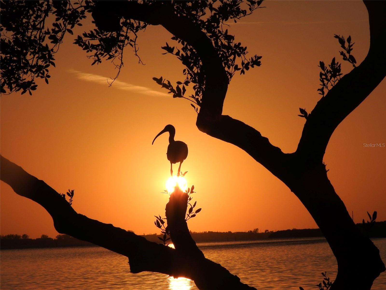 4857 INDEPENDENCE DR, BRADENTON, FL, 34210