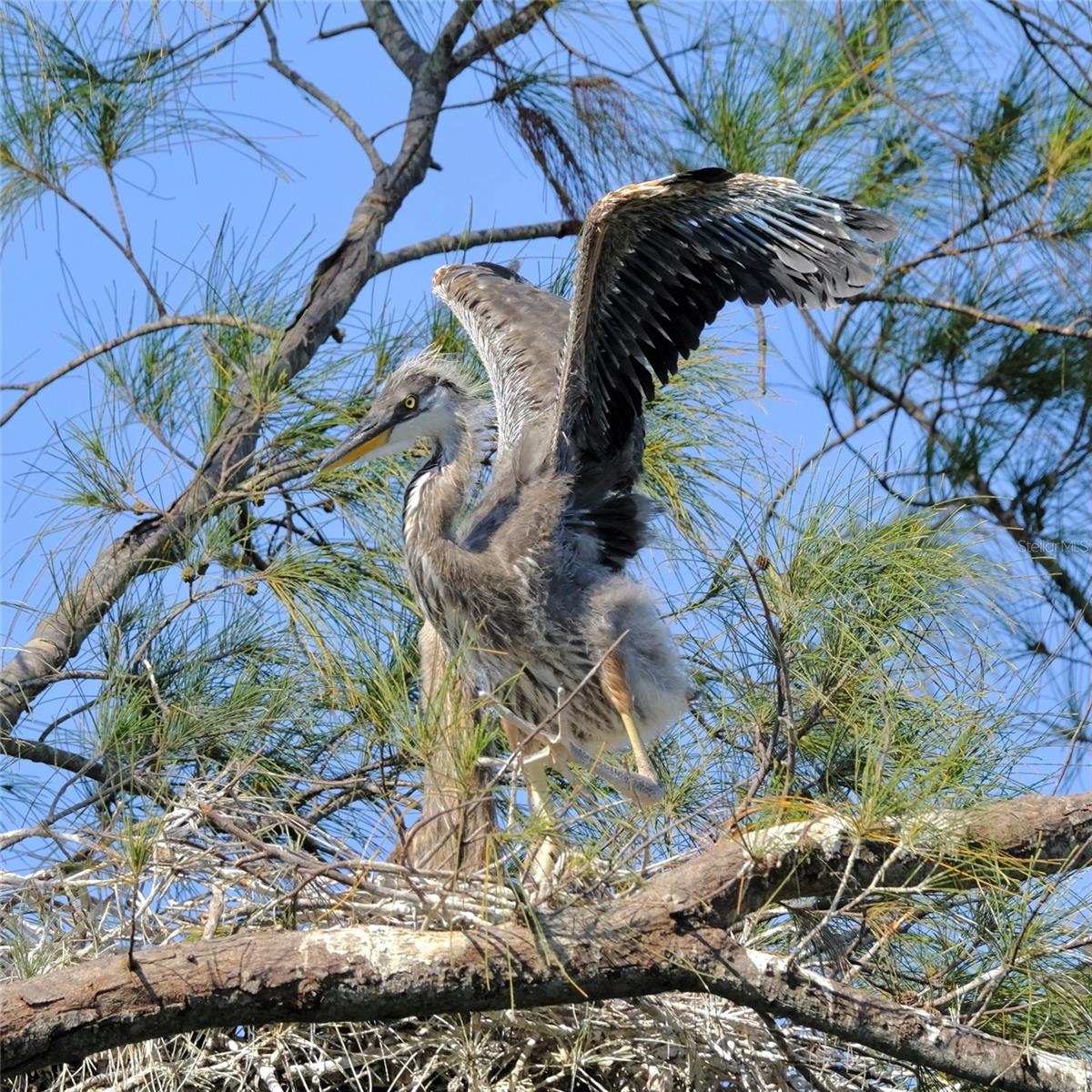 4857 INDEPENDENCE DR, BRADENTON, FL, 34210