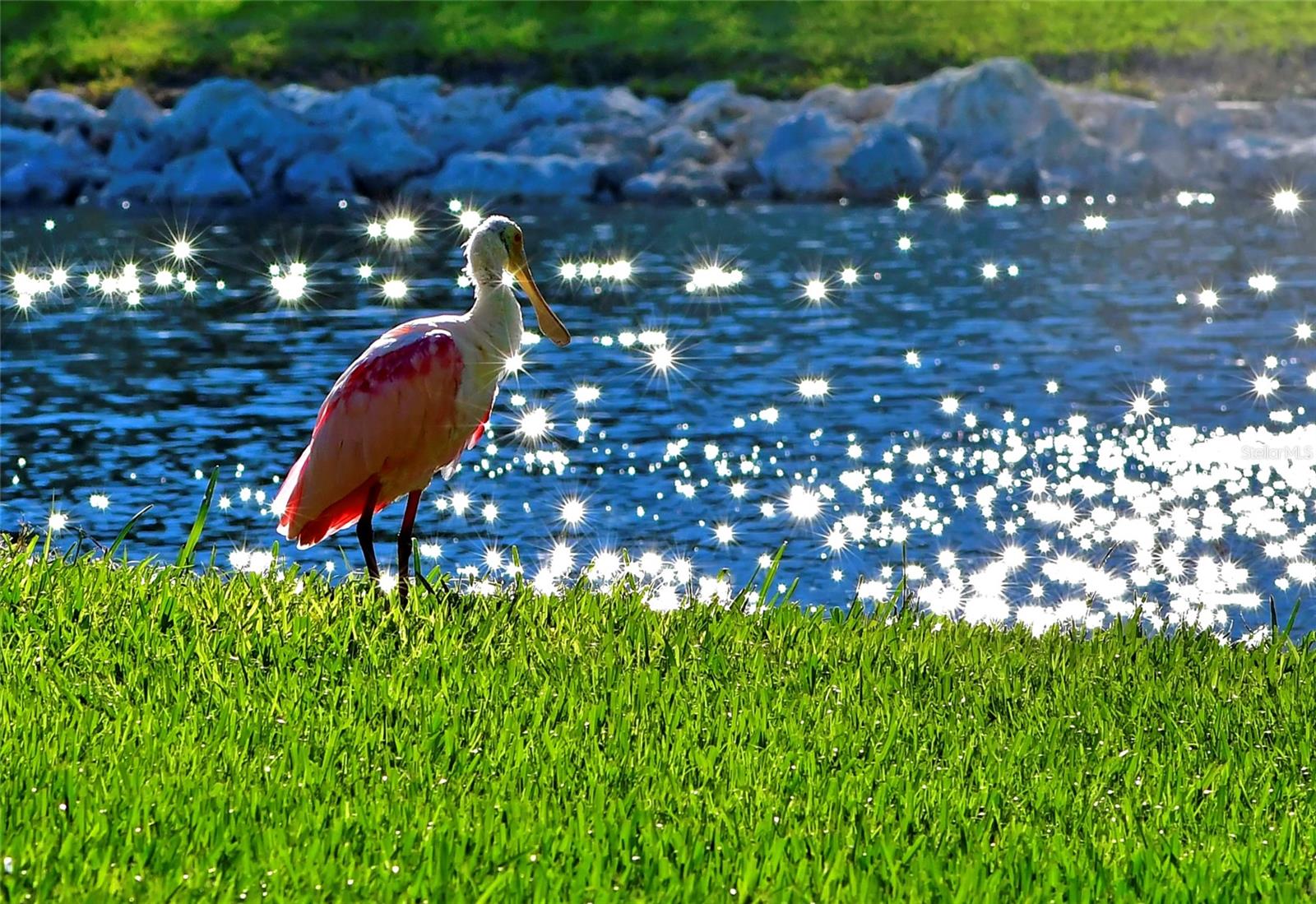 4857 INDEPENDENCE DR, BRADENTON, FL, 34210