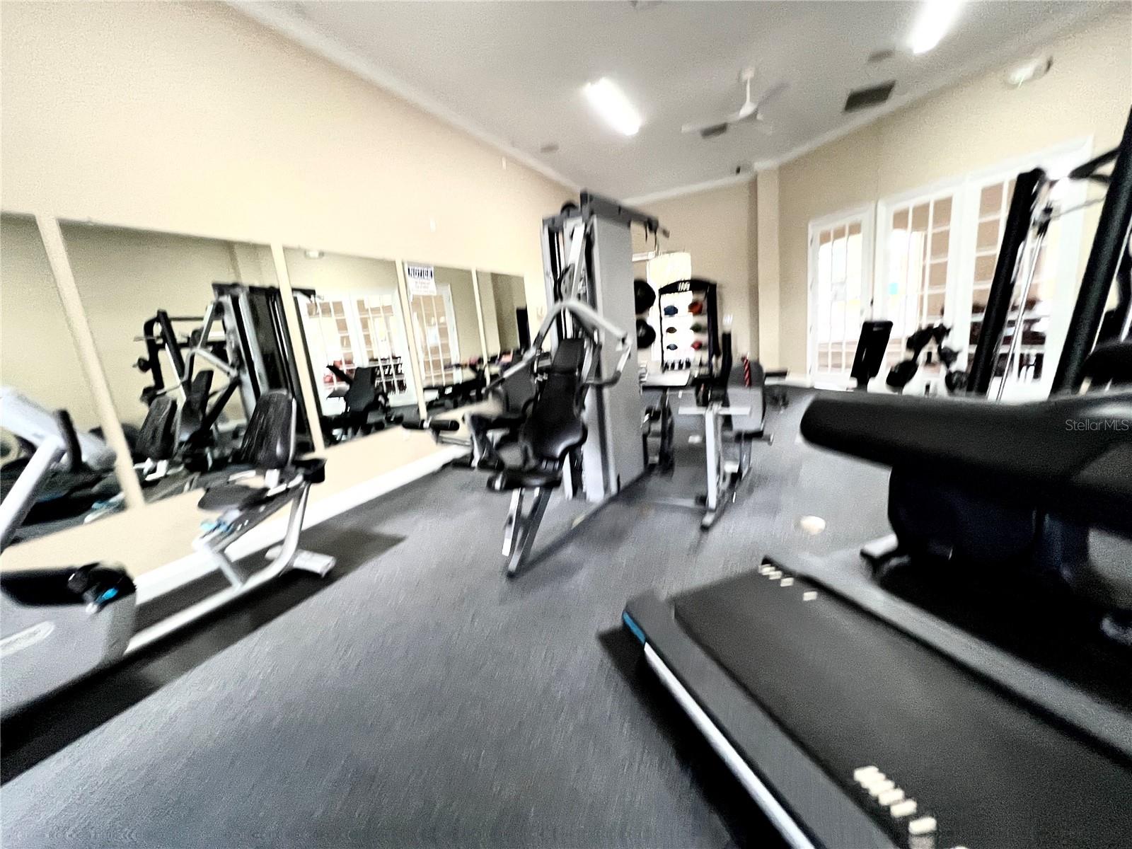 7001 INTERBAY BLVD #319, TAMPA, FL, 33616