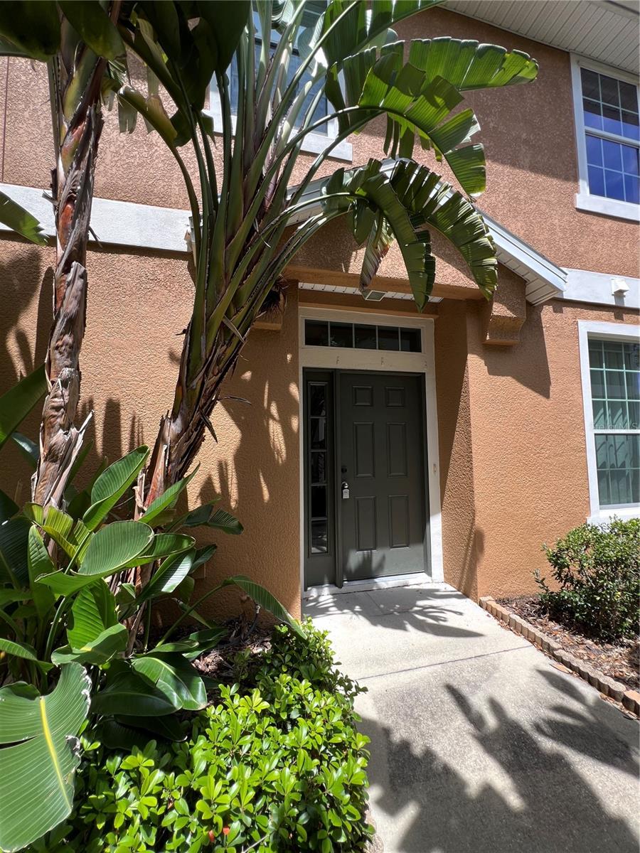 7001 INTERBAY BLVD #319, TAMPA, FL, 33616