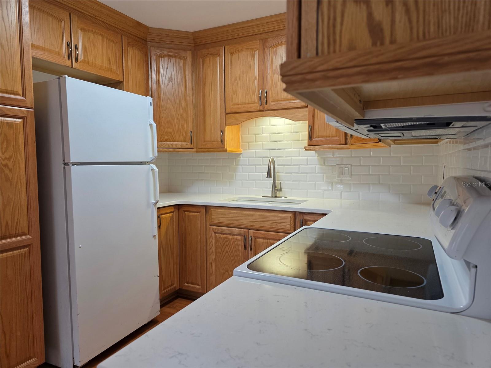 14602 PINE GLEN CIR, LUTZ, FL, 33559