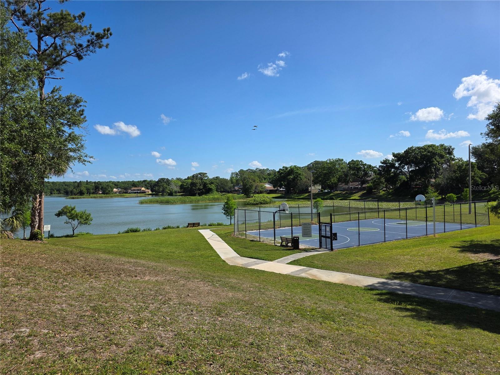 14602 PINE GLEN CIR, LUTZ, FL, 33559