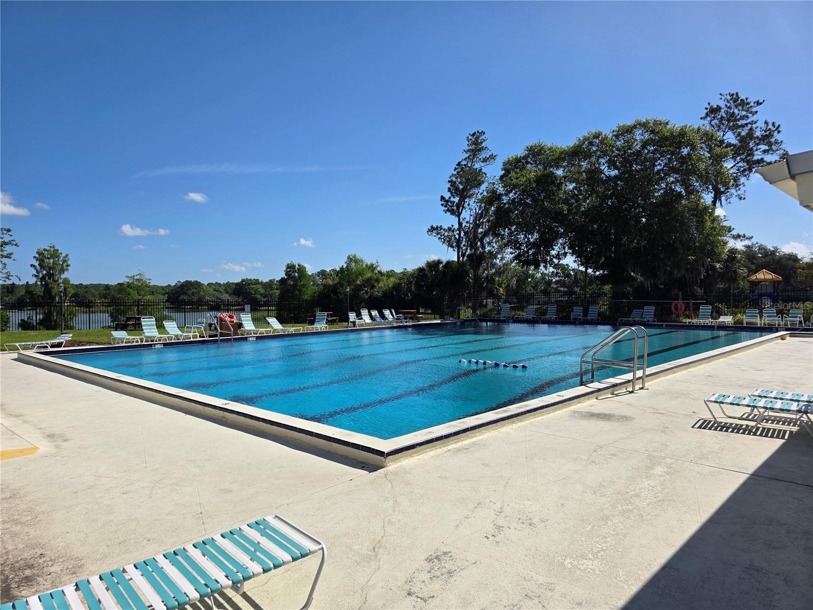 14602 PINE GLEN CIR, LUTZ, FL, 33559