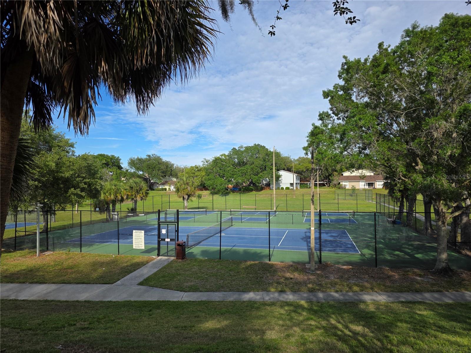 14602 PINE GLEN CIR, LUTZ, FL, 33559