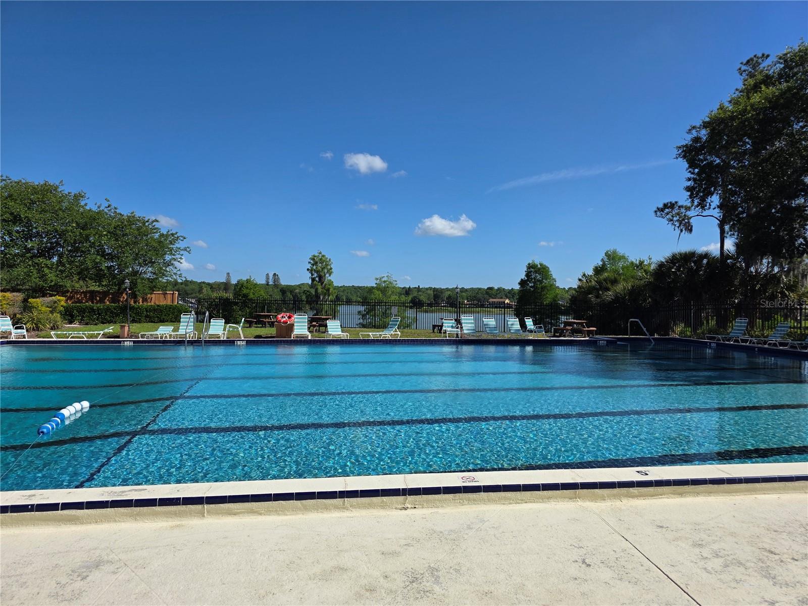 14602 PINE GLEN CIR, LUTZ, FL, 33559