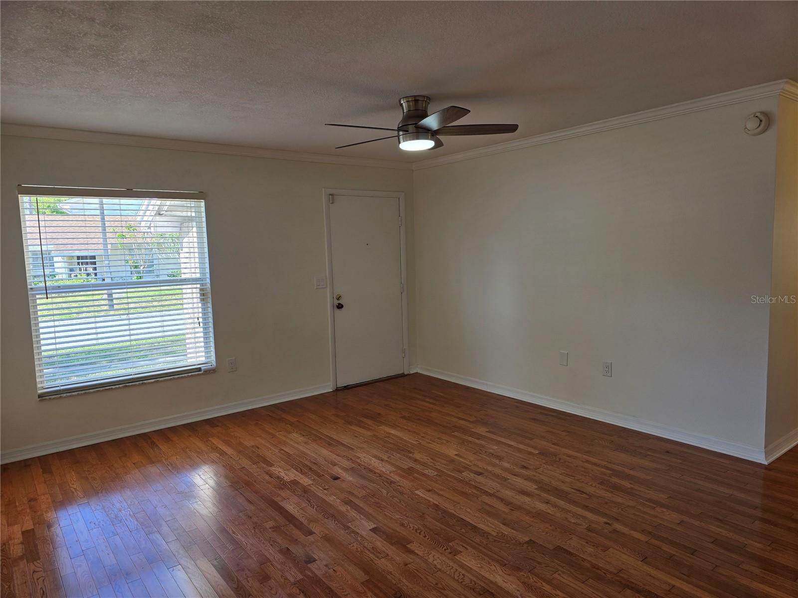 14602 PINE GLEN CIR, LUTZ, FL, 33559