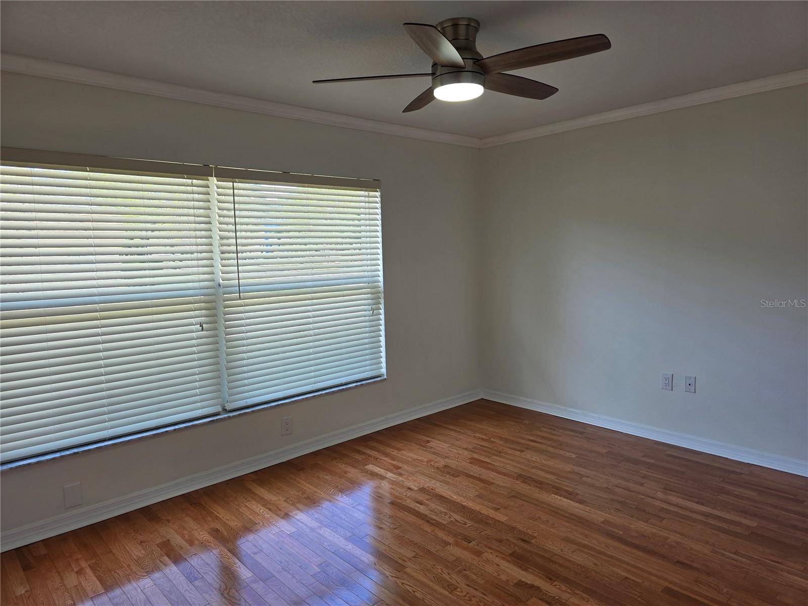 14602 PINE GLEN CIR, LUTZ, FL, 33559