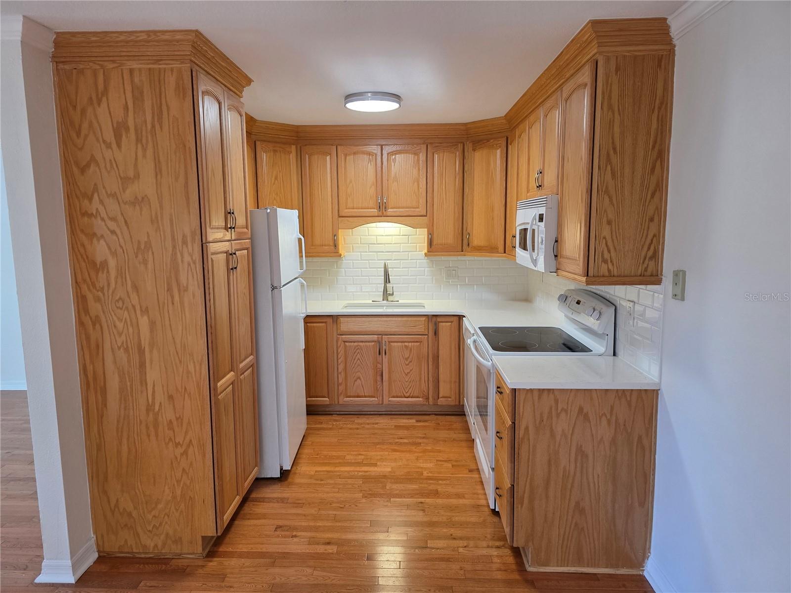 14602 PINE GLEN CIR, LUTZ, FL, 33559