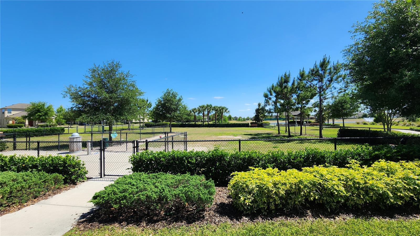 16749 HARPER COVE DR, WINTER GARDEN, FL, 34787