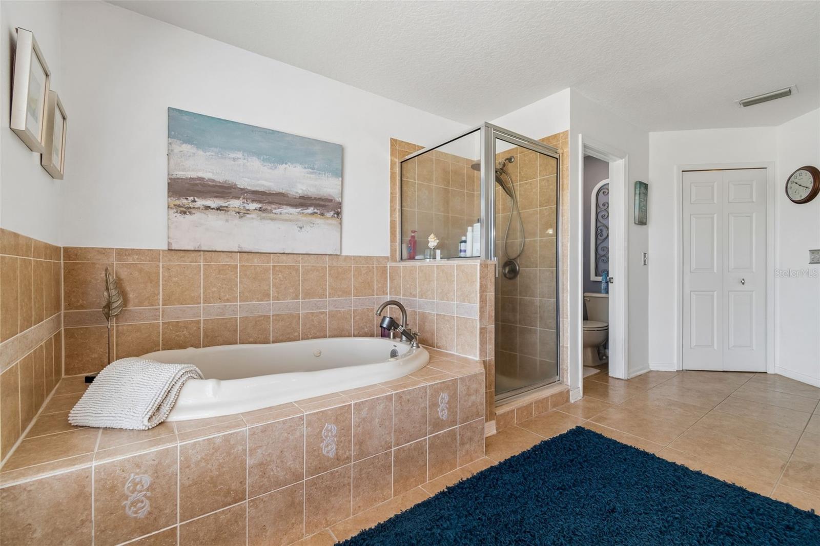 11718 STONEWOOD GATE DR, RIVERVIEW, FL, 33579