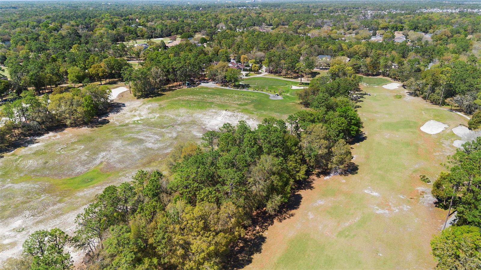 918 S VICTORIA HILLS DR, DELAND, FL, 32724