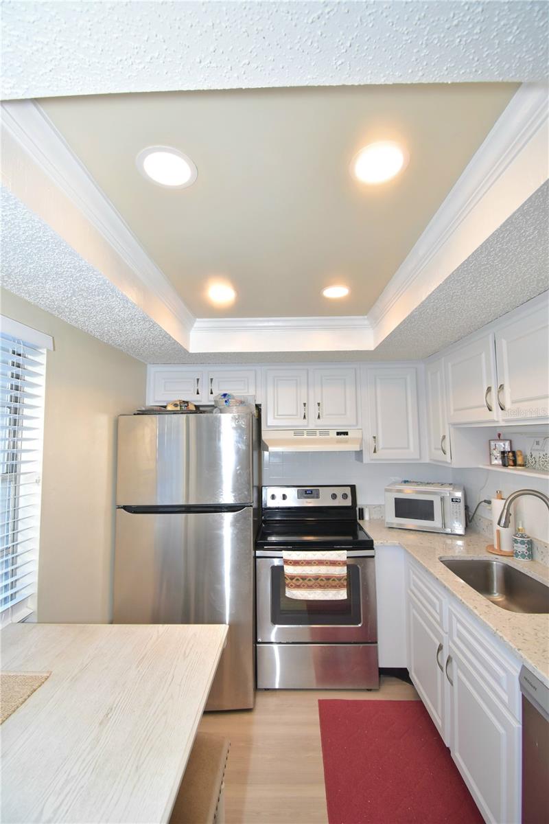 952 VIRGINIA ST #209, DUNEDIN, FL, 34698